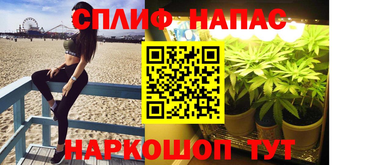Канабис SATIVA & INDICA Ишим
